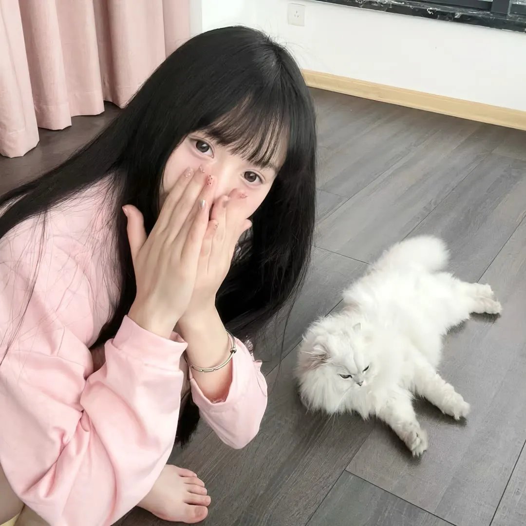魔术师和消失的女孩